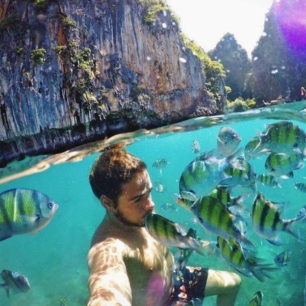 daily picdump 100 pics 4.html - 100 HD Photos | Premium Gallery 2016