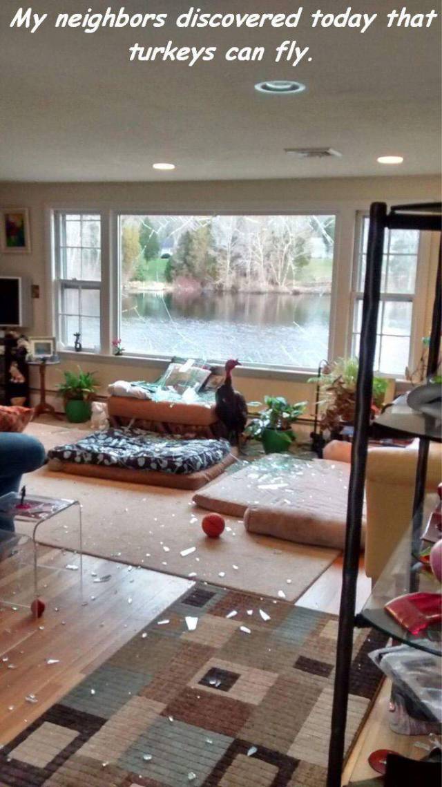 daily picdump 100 pics 4.html - 100 HD Photos | Premium Gallery 2016