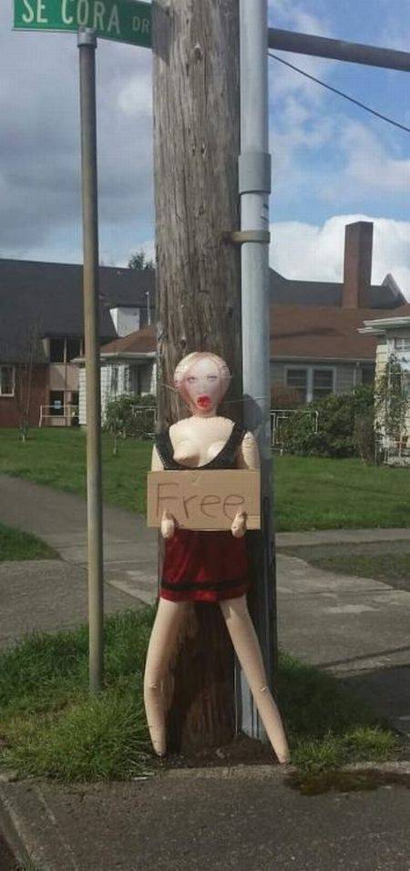 daily picdump 100 pics 4.html - 100 HD Photos | Premium Gallery 2016