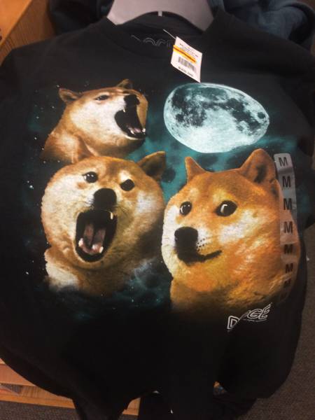 morning picdump 50 pics 4.html - 50 HD Photos | Premium Gallery 2016