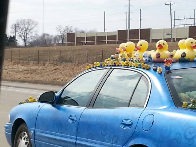 morning picdump 50 pics 4.html - 50 HD Photos | Premium Gallery 2016