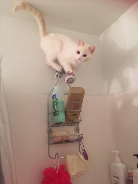 morning picdump 53 pics 9.html - 53 HD Photos | Premium Gallery 2016