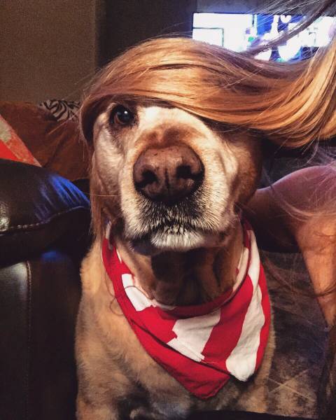 morning picdump 53 pics 9.html - 53 HD Photos | Premium Gallery 2016