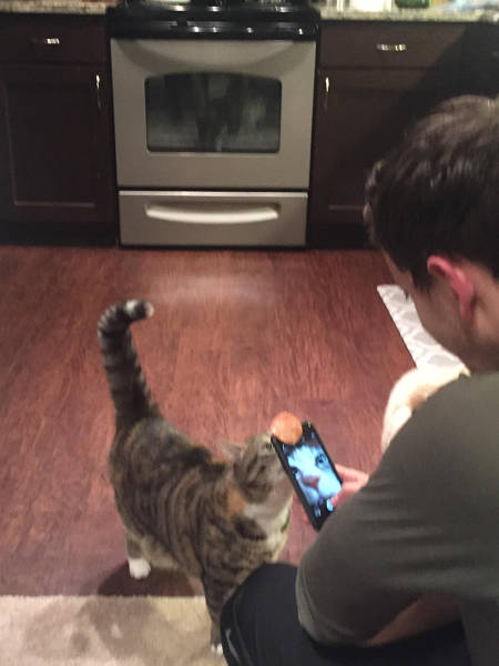 morning picdump 53 pics 9.html - 53 HD Photos | Premium Gallery 2016