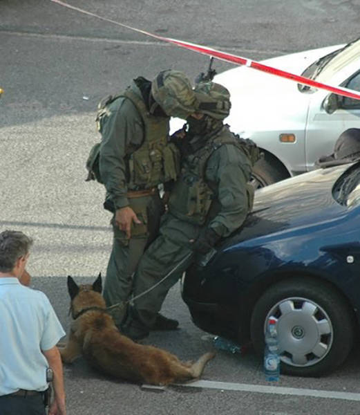 morning picdump 53 pics 9.html - 53 HD Photos | Premium Gallery 2016