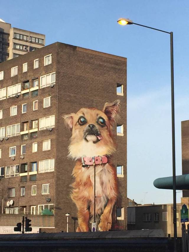 morning picdump 53 pics 9.html - 53 HD Photos | Premium Gallery 2016