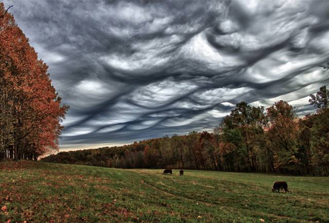 morning picdump 53 pics 9.html - 53 HD Photos | Premium Gallery 2016