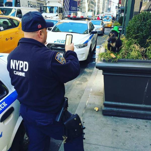 morning picdump 53 pics 9.html - 53 HD Photos | Premium Gallery 2016