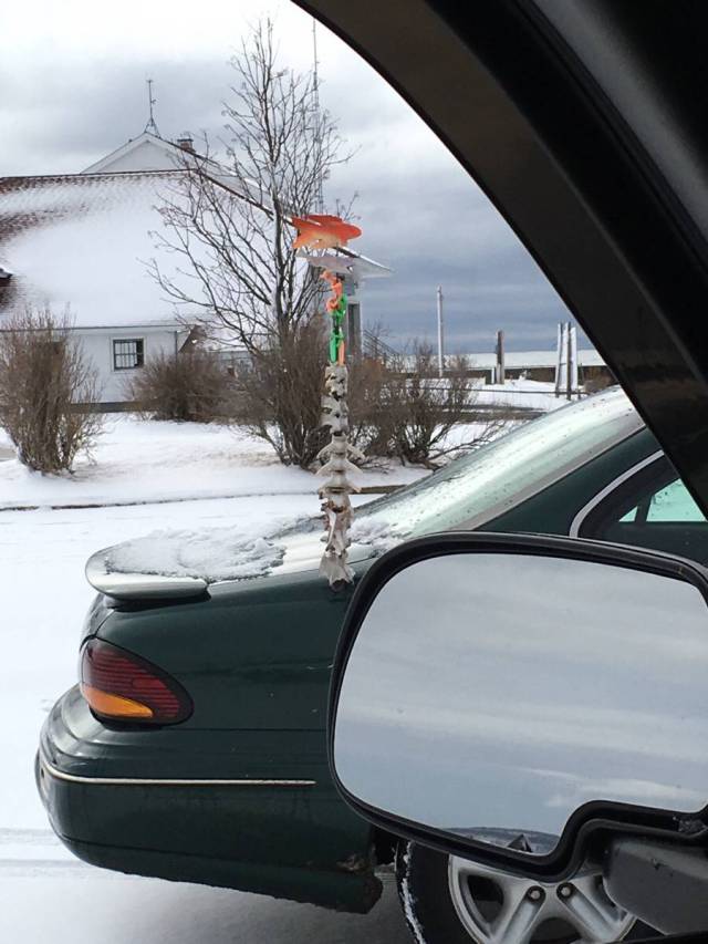 morning picdump 53 pics 9.html - 53 HD Photos | Premium Gallery 2016