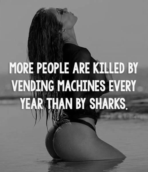 Facts are Best Served with Hot Girls