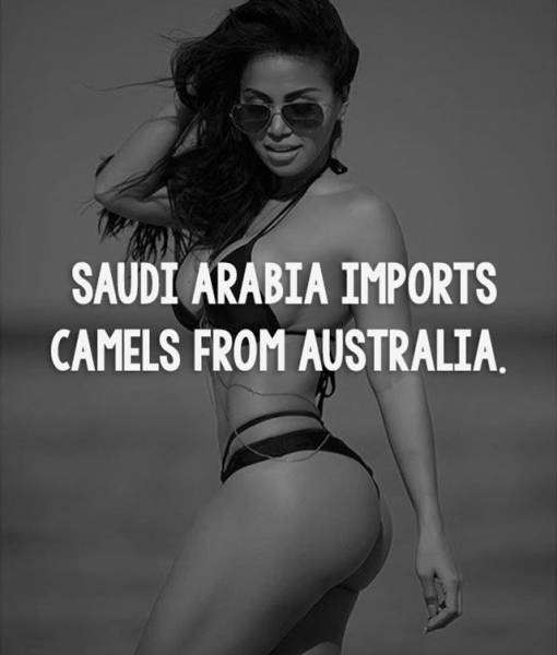 Facts are Best Served with Hot Girls