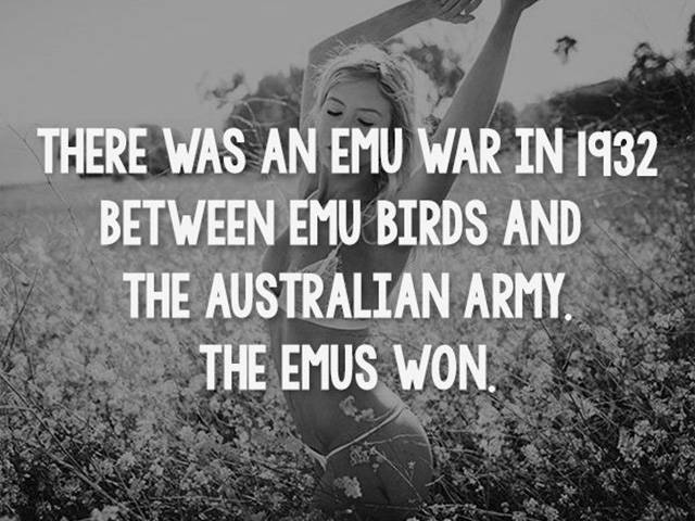 Facts are Best Served with Hot Girls