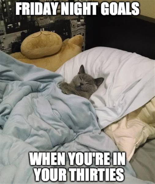 funny picdump 51 pics 16.html - 51 HD Photos | Premium Gallery 2016