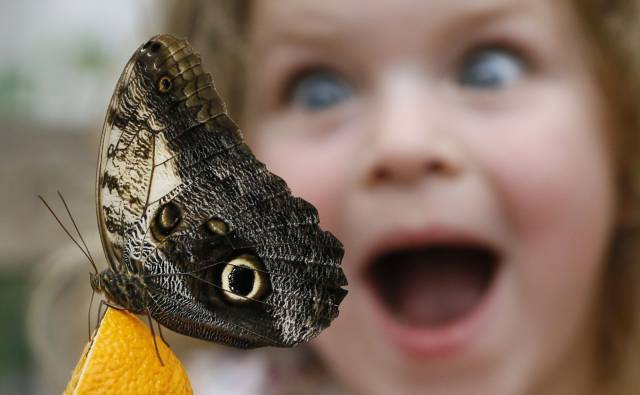 daily picdump 103 pics 4.html - 103 HD Photos | Premium Gallery 2016