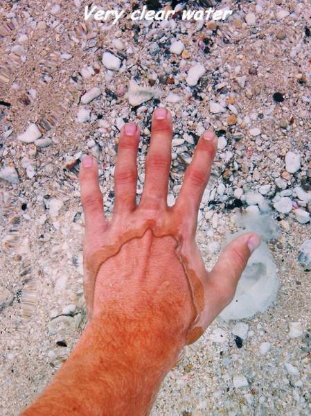 daily picdump 103 pics 4.html - 103 HD Photos | Premium Gallery 2016