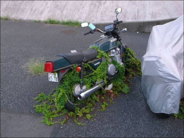 daily picdump 103 pics 4.html - 103 HD Photos | Premium Gallery 2016