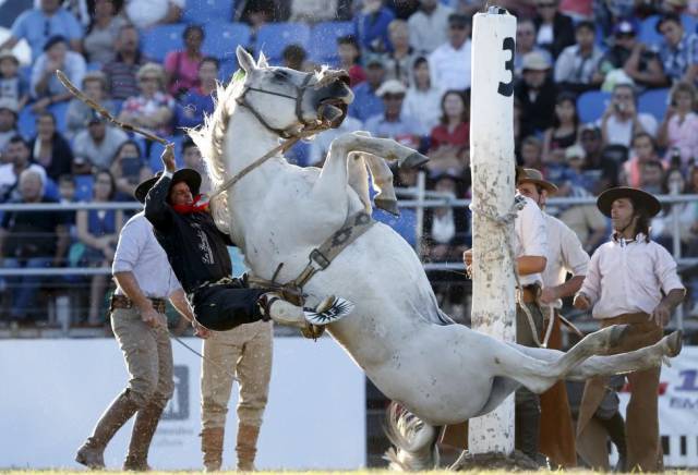 daily picdump 103 pics 4.html - 103 HD Photos | Premium Gallery 2016