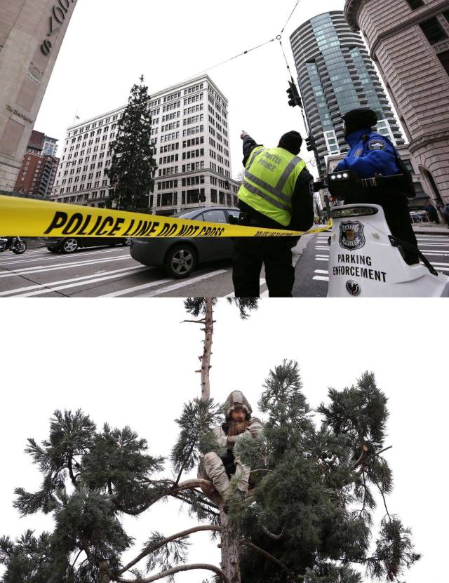 daily picdump 103 pics 4.html - 103 HD Photos | Premium Gallery 2016