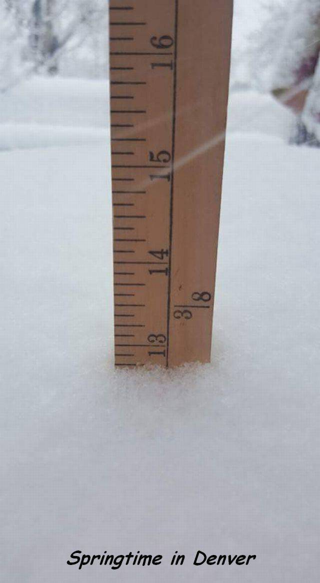 daily picdump 103 pics 4.html - 103 HD Photos | Premium Gallery 2016