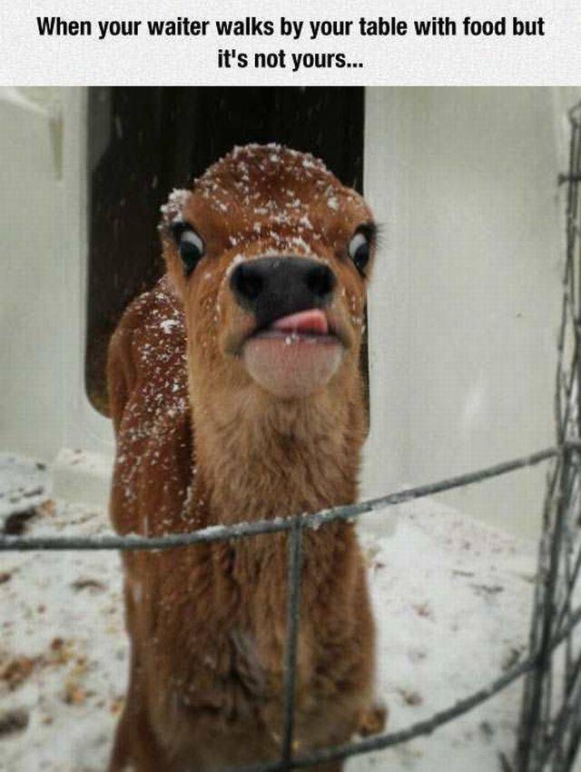 daily picdump 103 pics 4.html - 103 HD Photos | Premium Gallery 2016