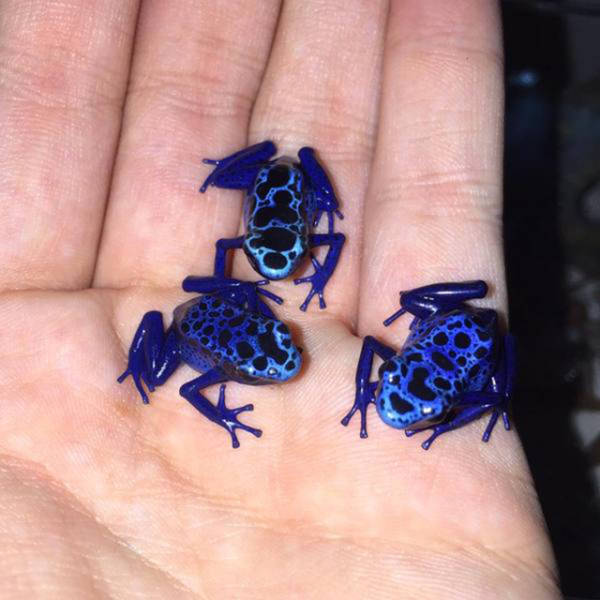 morning picdump 50 pics 22.html - 50 HD Photos | Premium Gallery 2016