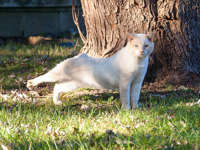 morning picdump 50 pics 22.html - 50 HD Photos | Premium Gallery 2016