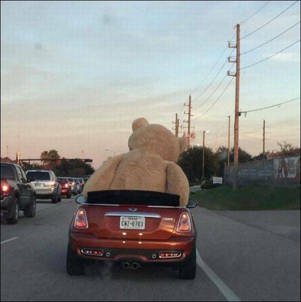 daily picdump 96 pics 36.html - 96 HD Photos | Premium Gallery 2016