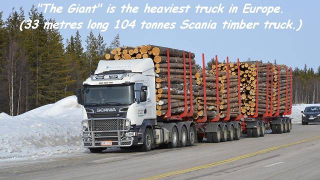 daily picdump 96 pics 36.html - 96 HD Photos | Premium Gallery 2016