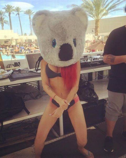 daily picdump 96 pics 36.html - 96 HD Photos | Premium Gallery 2016