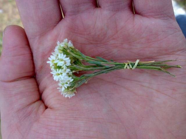 daily picdump 96 pics 36.html - 96 HD Photos | Premium Gallery 2016