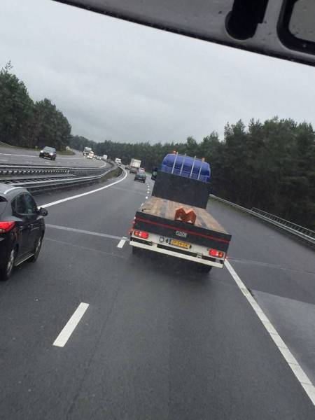 daily picdump 96 pics 36.html - 96 HD Photos | Premium Gallery 2016