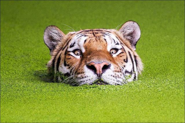 daily picdump 96 pics 36.html - 96 HD Photos | Premium Gallery 2016