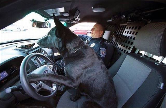 daily picdump 96 pics 36.html - 96 HD Photos | Premium Gallery 2016