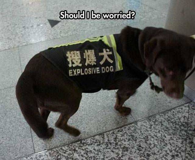 daily picdump 96 pics 36.html - 96 HD Photos | Premium Gallery 2016