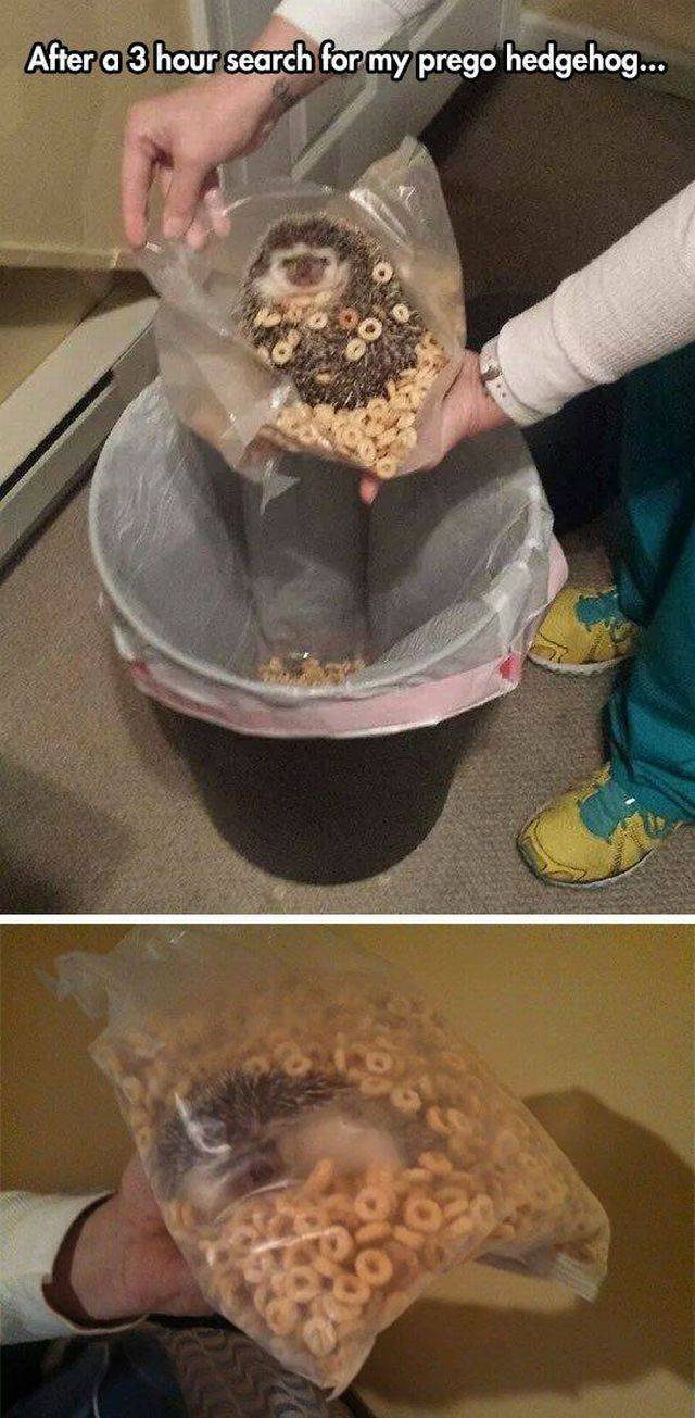 daily picdump 96 pics 36.html - 96 HD Photos | Premium Gallery 2016