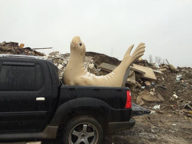 morning picdump 50 pics 2.html - 50 HD Photos | Premium Gallery 2016