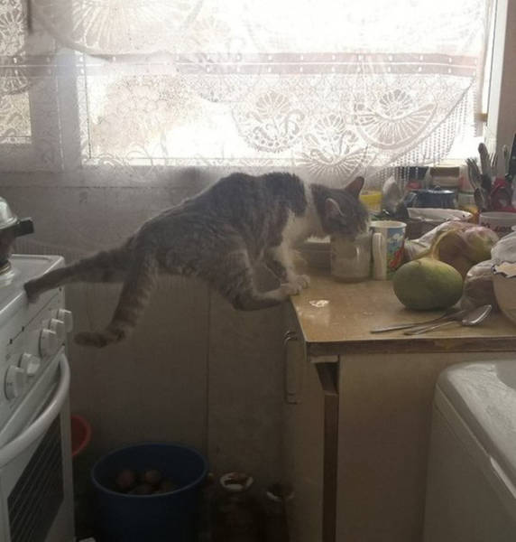 morning picdump 50 pics 2.html - 50 HD Photos | Premium Gallery 2016