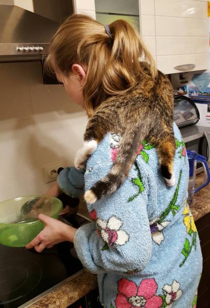 morning picdump 50 pics 2.html - 50 HD Photos | Premium Gallery 2016