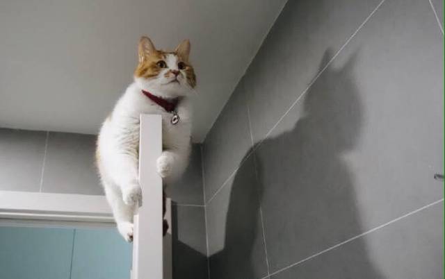 morning picdump 50 pics 21.html - 50 HD Photos | Premium Gallery 2016