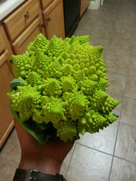 morning picdump 50 pics 21.html - 50 HD Photos | Premium Gallery 2016