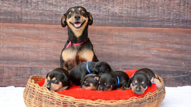 morning picdump 53 pics 18.html - 53 HD Photos | Premium Gallery 2016