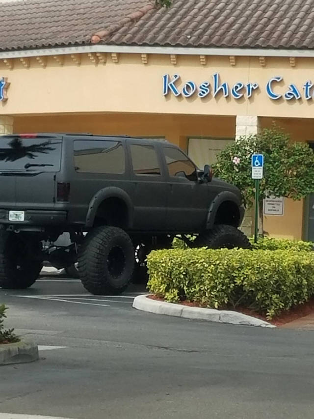 morning picdump 53 pics 18.html - 53 HD Photos | Premium Gallery 2016