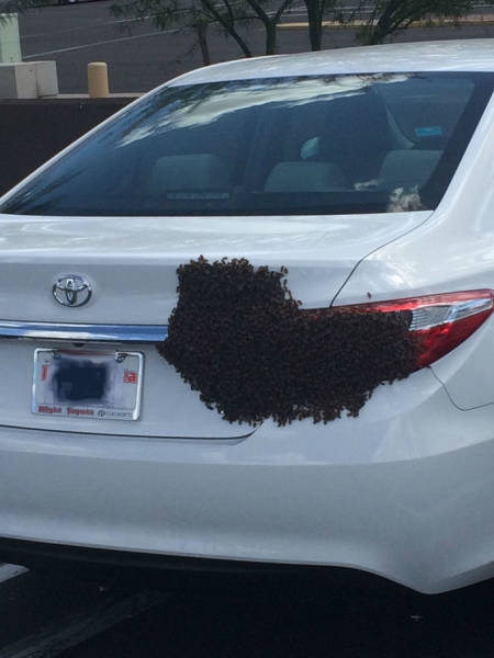 morning picdump 51 pics 24.html - 51 HD Photos | Premium Gallery 2016