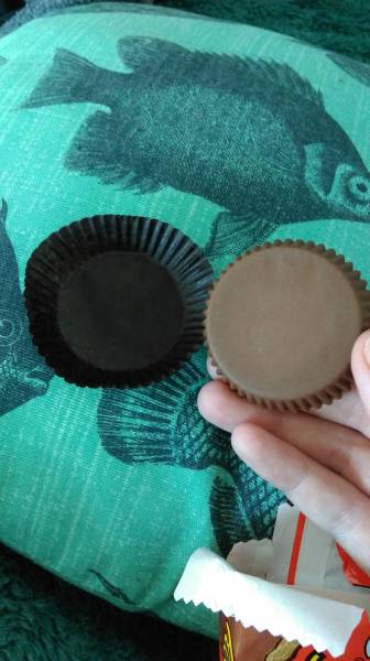 morning picdump 51 pics 24.html - 51 HD Photos | Premium Gallery 2016