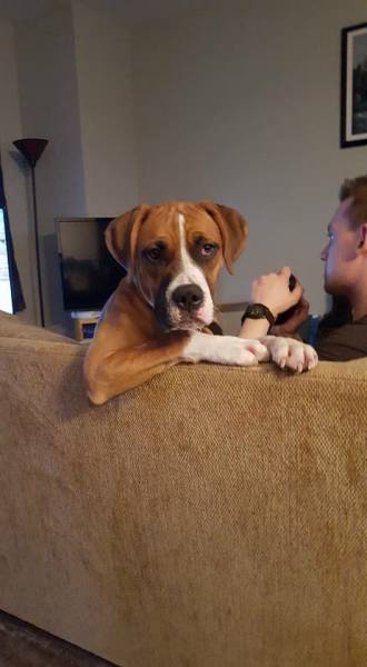 morning picdump 51 pics 24.html - 51 HD Photos | Premium Gallery 2016