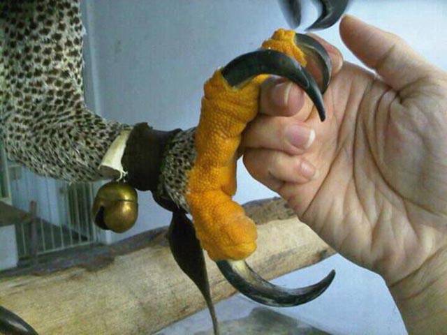 morning picdump 51 pics 24.html - 51 HD Photos | Premium Gallery 2016