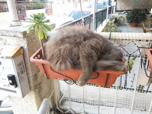 morning picdump 51 pics 2.html - 51 HD Photos | Premium Gallery 2016