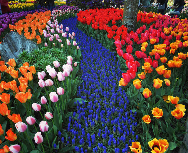 morning picdump 51 pics 2.html - 51 HD Photos | Premium Gallery 2016