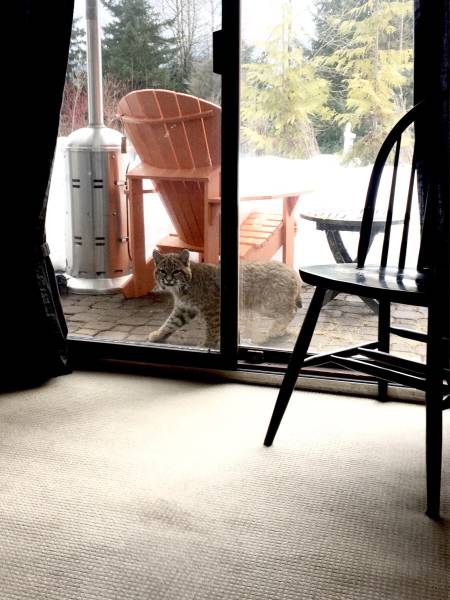 morning picdump 51 pics 2.html - 51 HD Photos | Premium Gallery 2016