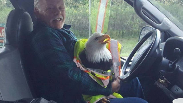 morning picdump 51 pics 2.html - 51 HD Photos | Premium Gallery 2016